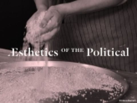 Aesthetics of the Political 1/3